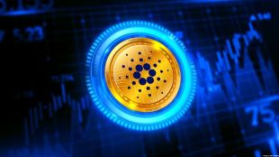 Reportedly, Fireblocks became an early adopter of MPC wallet