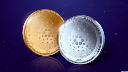 Delio’s website lists services including deposits, lending and staking