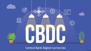 Ten central banks out of 14 are exploring issuing a national digital tender