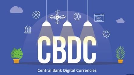 Ten central banks out of 14 are exploring issuing a national digital tender
