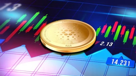 Reportedly, Delio sent a certain part of clients’ funds to Haru Invest Reportedly, Delio sent a certain part of clients’ funds to Haru Invest