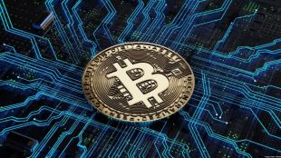 Reportedly, Bitcoin was last up 5.5% on Wednesday at 29,881.00