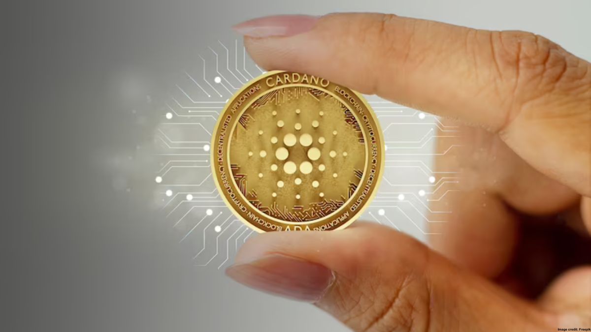 Going by sources, Nansen is a data analytics firm