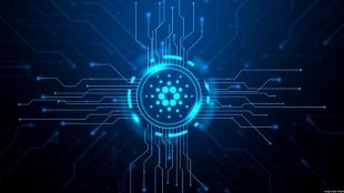 Going by sources, AnubisDAO is a dog-inspired decentralised finance (DeFi) project