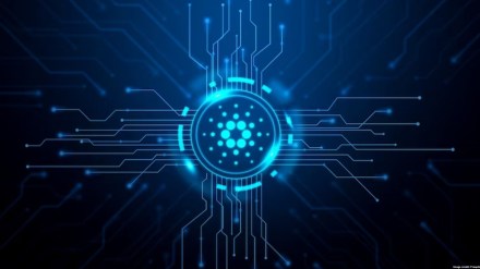 Going by sources, AnubisDAO is a dog-inspired decentralised finance (DeFi) project