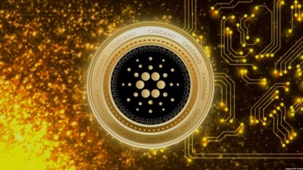 Between June 21-27, 2023, an Optimism address developed more than 50 subaccounts