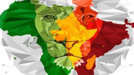 India africa ties