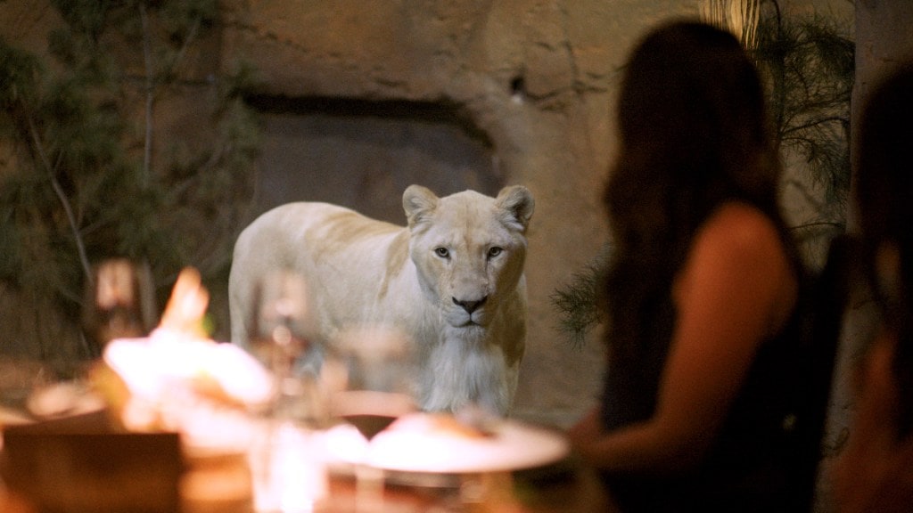 As part of the ACT Government's T2030 strategy, the campaign represents a step in positioning Canberra as a global destination As part of the ACT Government's T2030 strategy, the campaign represents a step in positioning Canberra as a global destination