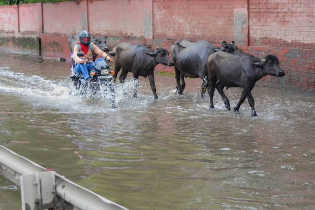 Gurugram: A commuter rides a bike through the waterlogged service road of Delhi-Gurugram Expressway after rain, in Gurugram. (PTI Photo)