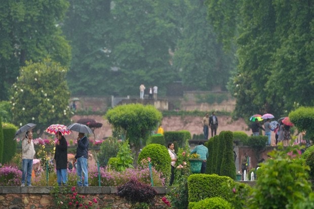 People with umbrellas at the Mughal Garden during rainfall in Srinagar. (Image: PTI)