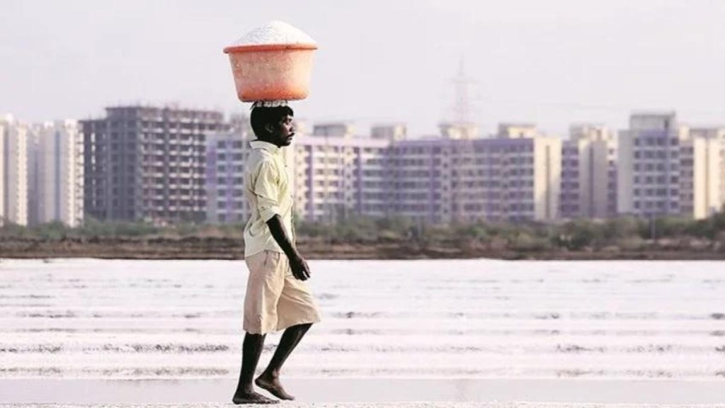 salt lands, salt lands in India, How to buy salt land, buy salt land, Can one buy salt land, Salt land in India salt lands, salt lands in India, How to buy salt land, buy salt land, Can one buy salt land, Salt land in India