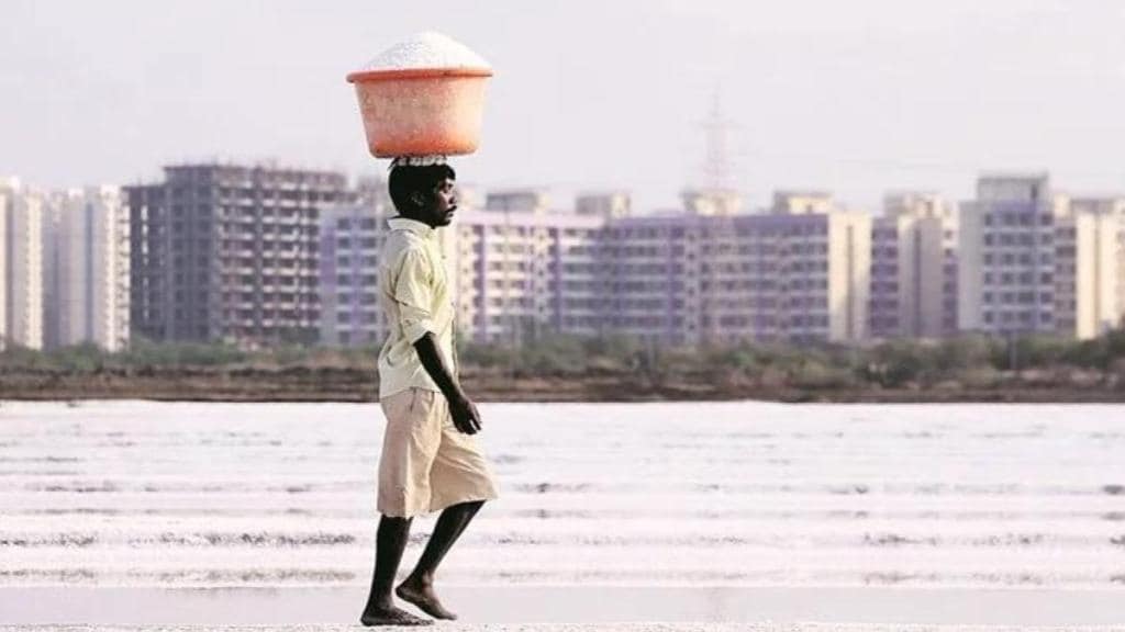 salt lands, salt lands in India, How to buy salt land, buy salt land, Can one buy salt land, Salt land in India