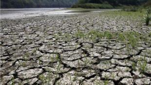 El Nino, monsoon spell, experts wary of poor monsoon spell, Global Temperature, Sea Surface Temperatures, Monsoon