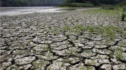 El Nino, monsoon spell, experts wary of poor monsoon spell, Global Temperature, Sea Surface Temperatures, Monsoon