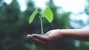 Sustainability