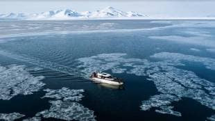 The Arctic