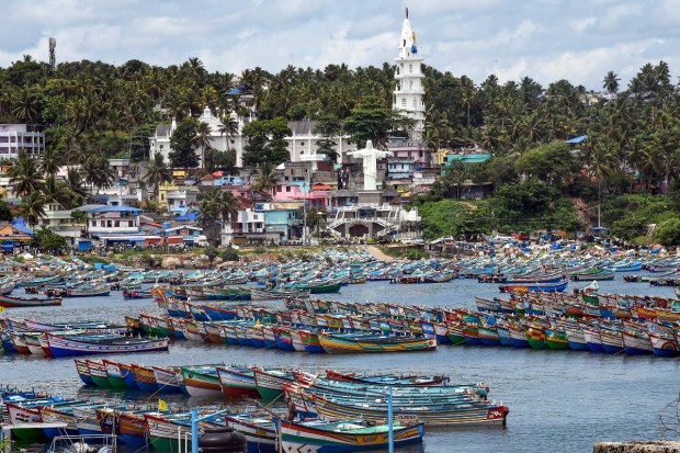 Fishing boats anchored on the shore at the Vizhinjam harbour due to alert for Cyclone Biparjoy, in Kerala's Thiruvananthapuram. (PTI Photo)