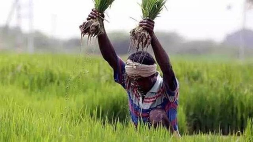 agriculture, agriculture sector