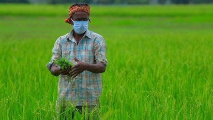 kharif crop, agriculture