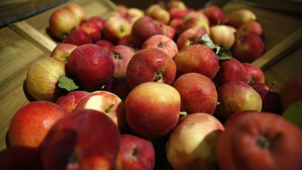 Apple apparently wants to own copyright for apples in this country
