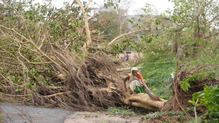 Cyclone Biparjoy, irdai Cyclone Biparjoy, irdai