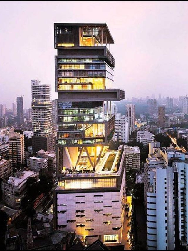 Lifestyle, business, billionaire, unicorn