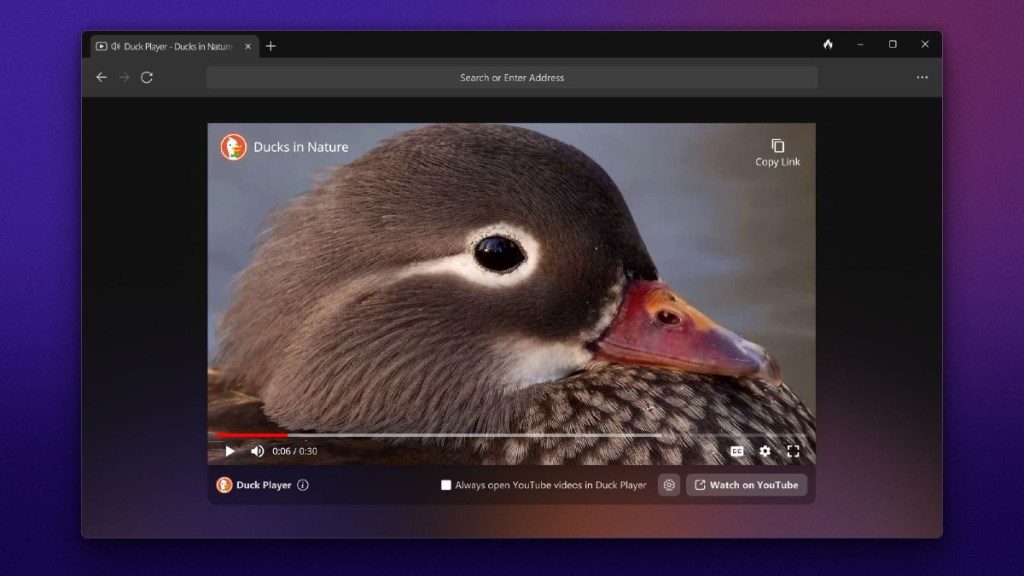 DuckDuckGo browser launched on Windows: Should Google be worried?