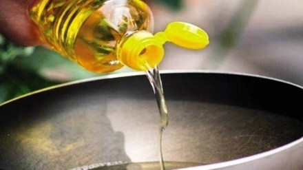 edible oil. economy