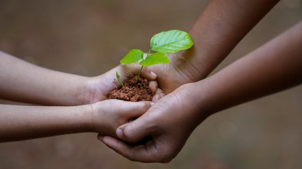 green bonds