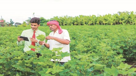 agriculture, agriculture sector