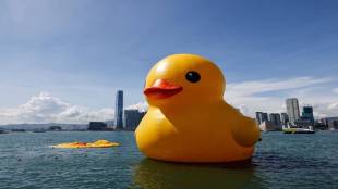 hong kong rubber ducks