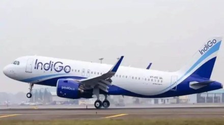 indigo indigo