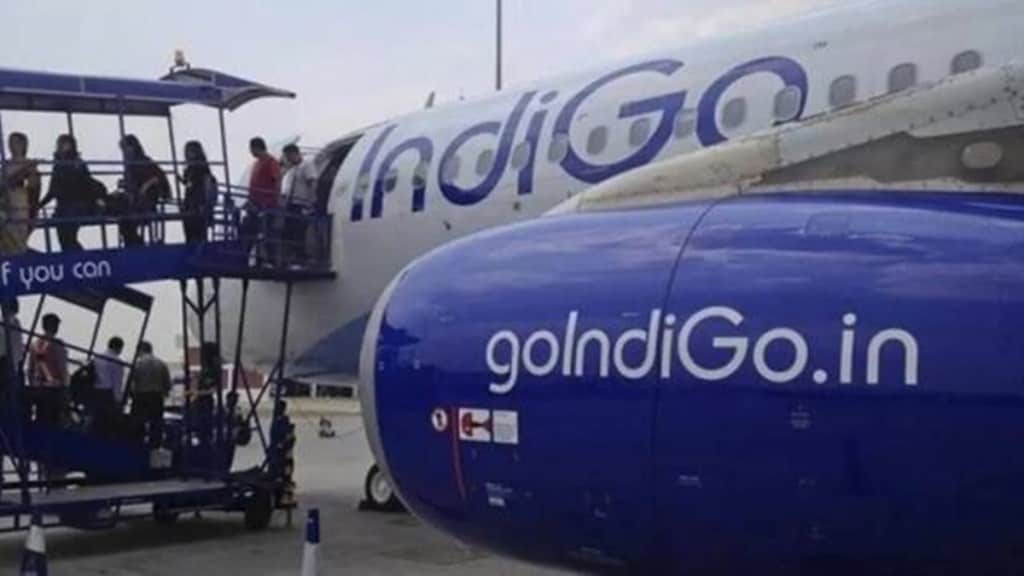 indigo, aviation