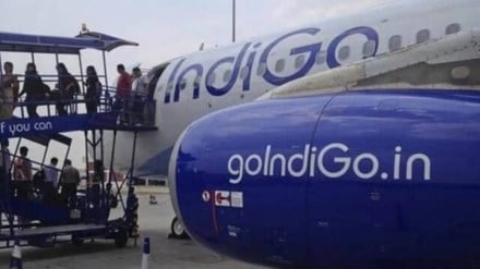 indigo, aviation