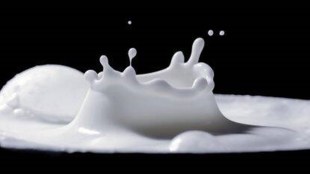 Kerala Karnataka milk war