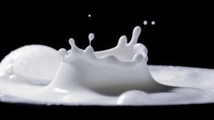 Kerala Karnataka milk war