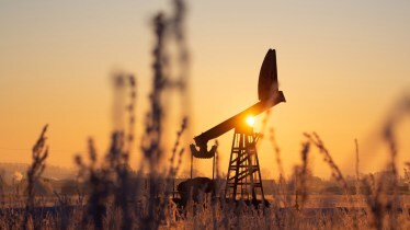 oil