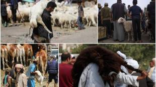 Eid al-Adha 2023, Bakrid, Photos