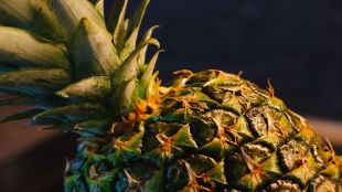 Pineapples, benefits of pineapple, pineapple side-effects, healthy eating, health news,