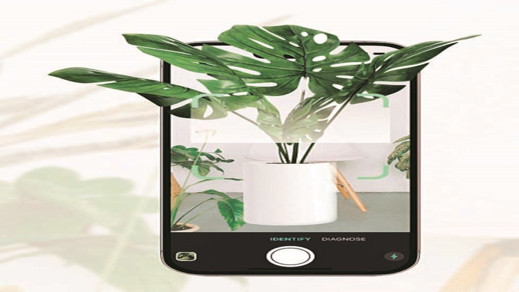 plantcam, technology