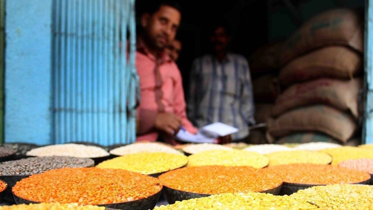 pulses, msp, pss, tur, urad pulses, msp, pss, tur, urad