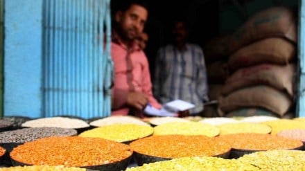 pulses, msp, pss, tur, urad