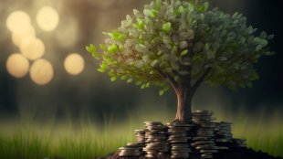 what is green fixed deposit