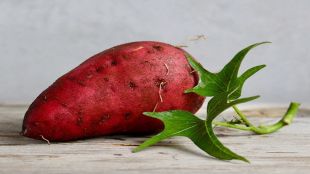 Sweet Potato, sweet potato benefits, sweet side effects, health news, healthy eating,
