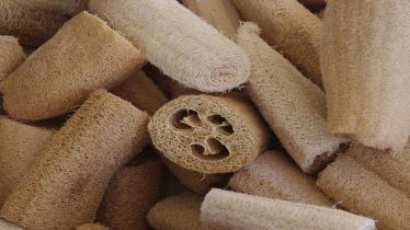 Loofah, luffa plant, skincare, bathing essentials, health news,