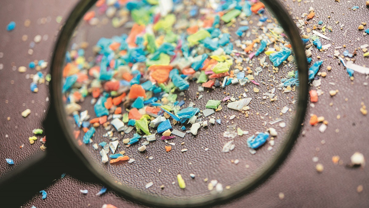 united nations, environment