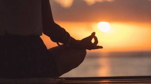 Yoga Day 2023: Top Yoga Poses for Beginners