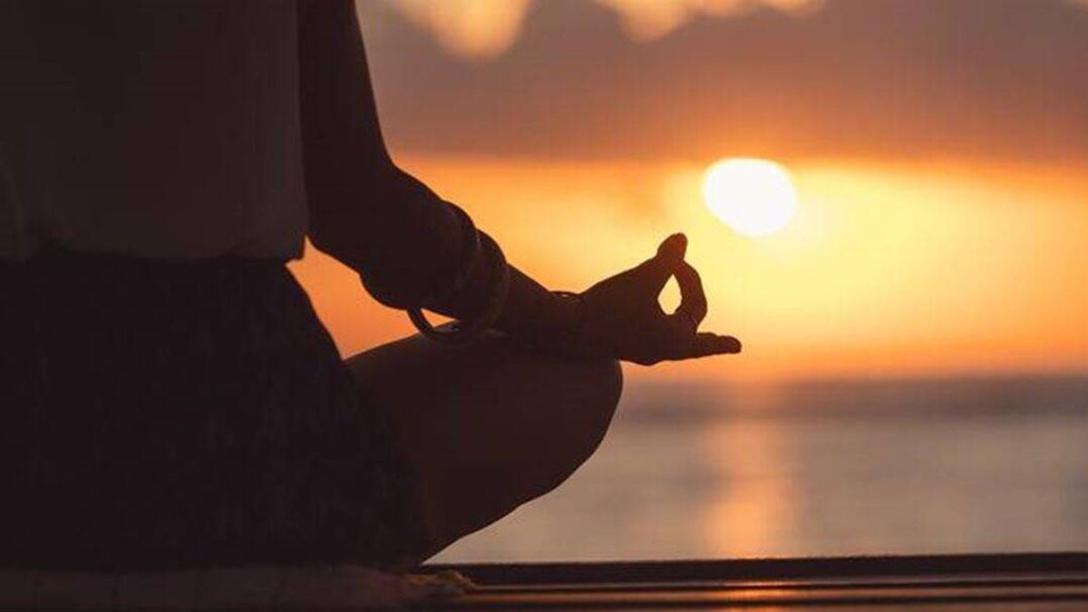 Yoga Day 2023: Top Yoga Poses for Beginners Yoga Day 2023: Top Yoga Poses for Beginners