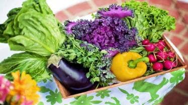 Monsoon, Monsoon food, Monsoon food to avoid, rainy food, Rainy season, Vegetables, mushrooms, lifestyle