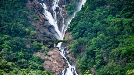 dudhsagar, dudhsagar falls, dudhsagar waterfalls, dudhsagar trek, dudhsagar falls from goa, dudhsagar waterfall trek, dudhsagar waterfall kahan hai, dudhsagar waterfall news, dudhsagar goa, dudhsagar train, dudhsagar train view, dudhsagar train timing, dudhsagar train station, dudhsagar train station code, dudhsagar train journey, dudhsagar train from goa, dudhsagar train from bangalore, dudhsagar train ticket price, dudhsagar train video, dudhsagar train images, dudhsagar, dudhsagar falls, dudhsagar waterfalls, dudhsagar trek, dudhsagar falls from goa, dudhsagar waterfall trek, dudhsagar waterfall kahan hai, dudhsagar waterfall news, dudhsagar goa, dudhsagar train, dudhsagar train view, dudhsagar train timing, dudhsagar train station, dudhsagar train station code, dudhsagar train journey, dudhsagar train from goa, dudhsagar train from bangalore, dudhsagar train ticket price, dudhsagar train video, dudhsagar train images,
